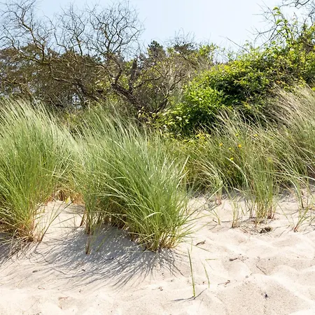 Apartment Schmidt - Strandhaus Direkt Am Mit Sauna, Sport Und Duenengarten I